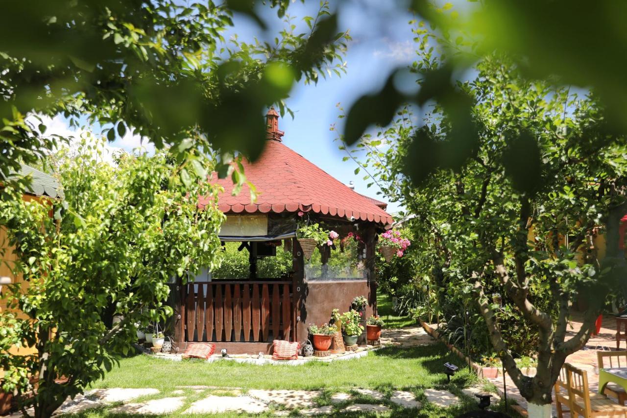 Casa Nita Villa Corbu  Dış mekan fotoğraf