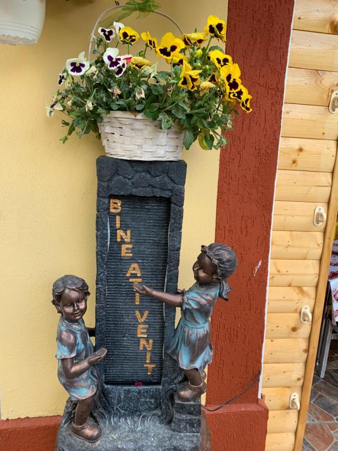 Casa Nita Villa Corbu  Dış mekan fotoğraf