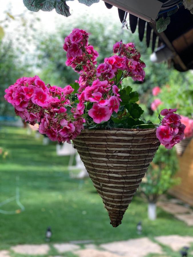 Casa Nita Villa Corbu  Dış mekan fotoğraf